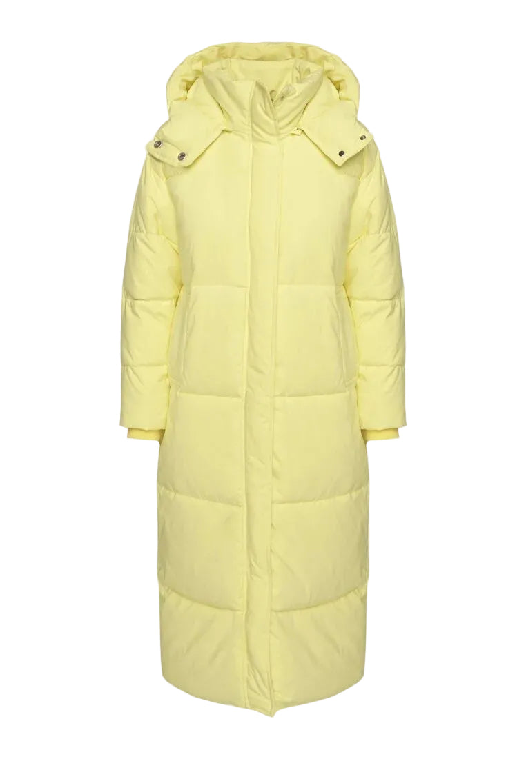 Padded Jacket Limited edition ™️