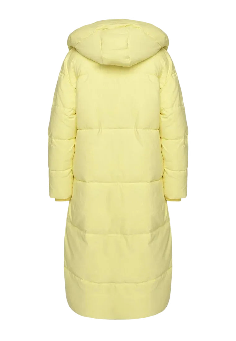 Padded Jacket Limited edition ™️