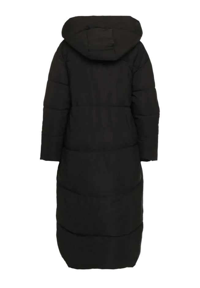 Padded Jacket Limited edition ™️